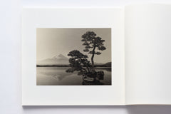 Bonsai - Microcosms Macrocosms(Deluxe Edition) by Masao Yamamoto