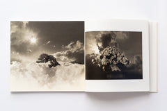 Bonsai - Microcosms Macrocosms(Deluxe Edition) by Masao Yamamoto