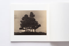 Bonsai - Microcosms Macrocosms(Deluxe Edition) by Masao Yamamoto