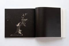 Bonsai - Microcosms Macrocosms(Deluxe Edition) by Masao Yamamoto