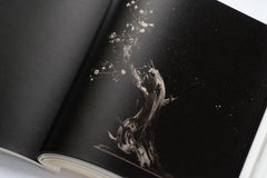 Bonsai - Microcosms Macrocosms(Deluxe Edition) by Masao Yamamoto