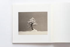 Bonsai - Microcosms Macrocosms(Deluxe Edition) by Masao Yamamoto