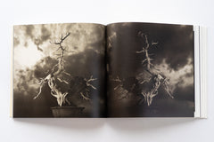 Bonsai - Microcosms Macrocosms(Deluxe Edition) by Masao Yamamoto