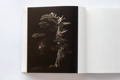 Bonsai - Microcosms Macrocosms(Deluxe Edition) by Masao Yamamoto