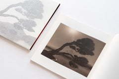 Bonsai - Microcosms Macrocosms(Deluxe Edition) by Masao Yamamoto