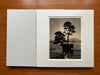 Bonsai - Microcosms Macrocosms(Special Edition) by Masao Yamamoto