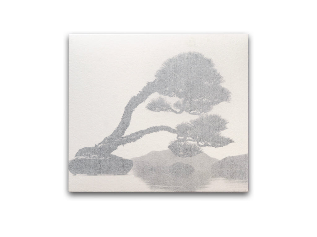 Bonsai - Microcosms Macrocosms by Masao Yamamoto