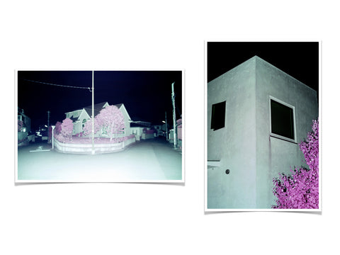 Special Edition / 特装版 – T&M Projects Special Edition / 特装版 – T&M Projects