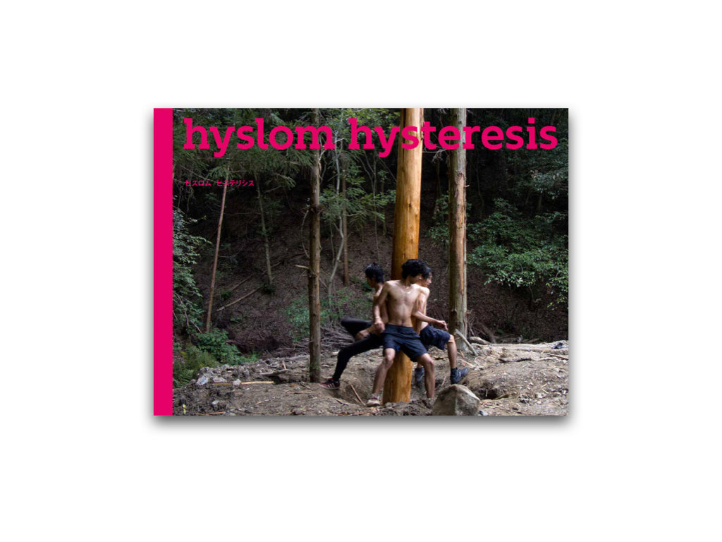 hyslom hysteresis